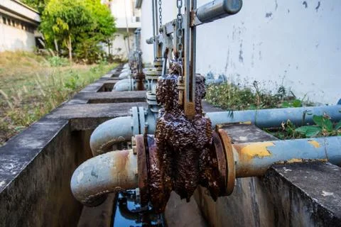 A rusty  water gate valve. Stock Photos
