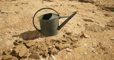 Rusty watering can rests in dry landscape under bright sun Stock Footage 324710827
