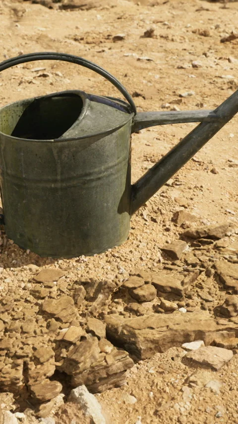 Rusty watering can rests in dry landscape under bright sun Stock Footage 327384093
