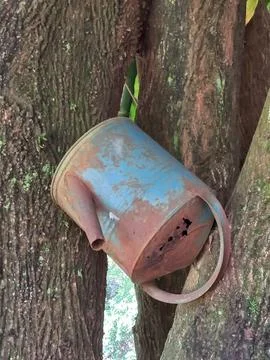 Rusty watering can on the tree Foto stock