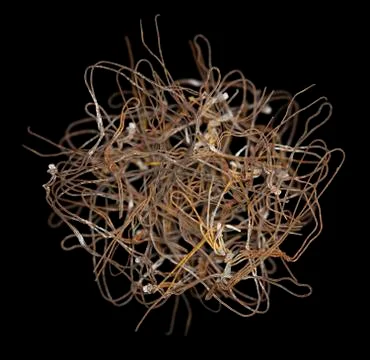 Rusty wire ball Stock Photos