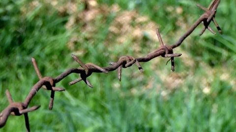 Rusty wire in motion over the field. Stock Footage 75934333
