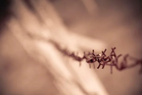 Rusty wire Stock Photos