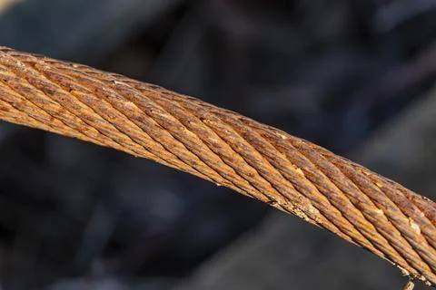 A rusty wire is shown in a close up 스톡 사진