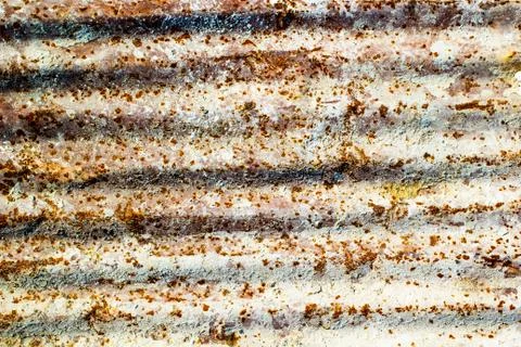 Rusty zinc Stock Photos