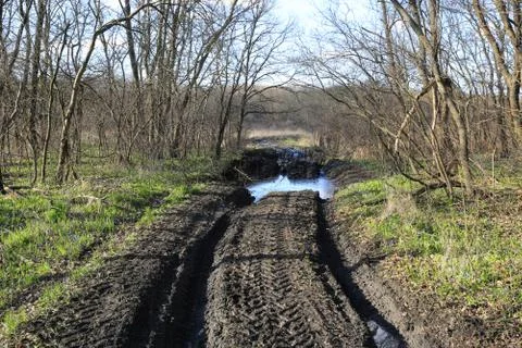 Rut road in forest Stock Photos