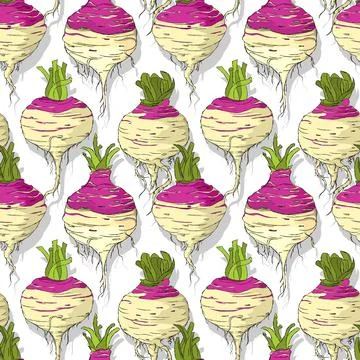 Rutabaga roots repeating pattern editable vector template Illustrazione stock