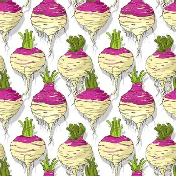 Rutabaga roots repeating pattern Illustrazione stock