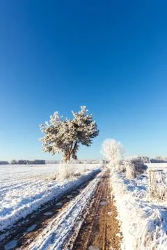 Rutted path covered by ice between snowy fields Stock Photos