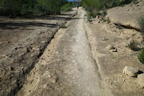 Rutted road Foto stock