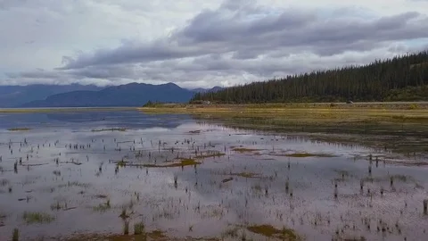 RV Driving Past Wetlands Aerial Stock Footage