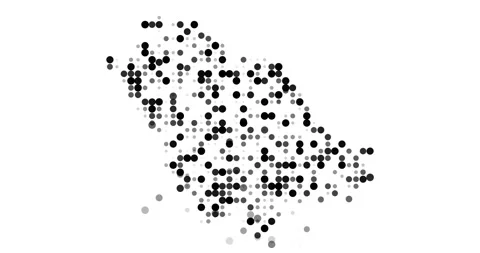 Rwanda Animated Dot Contour Stock Footage 315274586