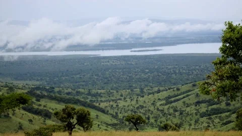 Rwanda landscape Stock Footage 232870853