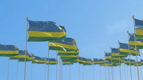 Rwanda Row Of Flags Animation Stock-Footage 148786051