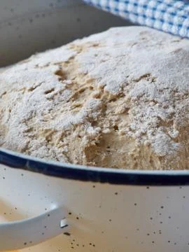 Rye bread dough Stock Photos