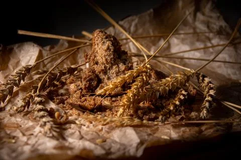 Rye bread with rye spikelets on unfolded parchment paper. Stock Photos