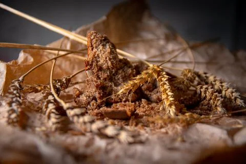 Rye bread with rye spikelets on unfolded parchment paper. Stock Photos