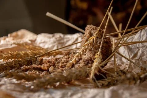 Rye bread with rye spikelets on unfolded parchment paper. Stock Photos