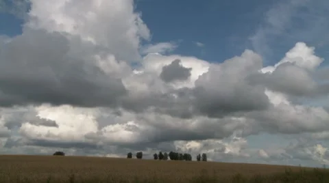 Rye field Vídeos de archivo 7690395