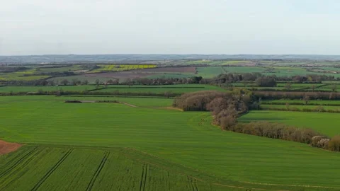 Rye fields spreading across rolling farmland with mixed agricultural plots in 스톡 동영상 342501276