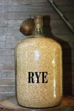 Rye grain Stock Photos