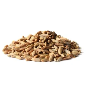 Rye grain seeds Stock Photos