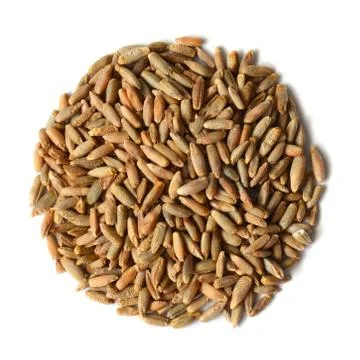Rye grain seeds Stock Photos