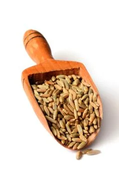 Rye grain seeds Stock Photos