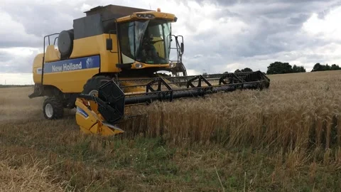 Rye harvesting Video stock 243991792
