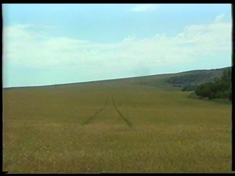 Rye Track Stock Footage 340541185