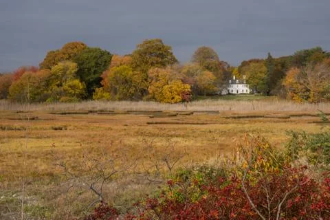 Rye view Stock Photos