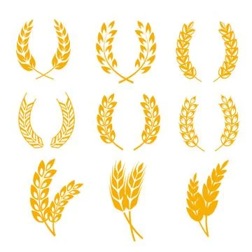 Rye wheat ears wreaths vector elements for bread and beer labels, logos Stockillustratie