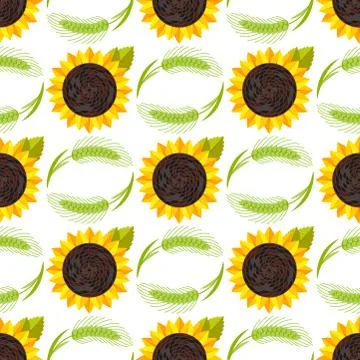 Rye wheat harvest vector ears of golden sunflower beautiful nature rural Stock Illustration