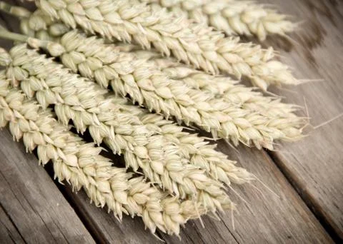 Rye on the wood Stock Photos