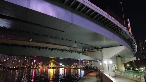 Ryogoku Junction Night View, Japan Tokyo 2025 Stock Footage 300328923