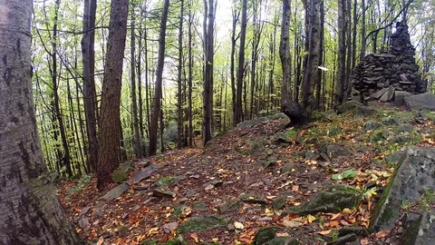 Rytro, Poland - October 7: Vertical running race in Autumn. Stock Footage 98495062