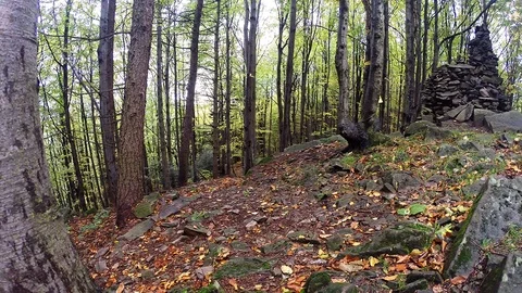 Rytro, Poland - October 7: Vertical running race in Autumn. Stock Footage 98495177