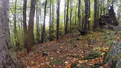 Rytro, Poland - October 7: Vertical running race in Autumn. Stock Footage 98495203