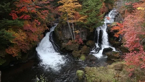 Ryuzu waterfall with colorful tree leaf forest in autumn Видео 104514743