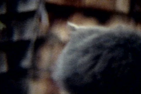 S BOB 11 Stock Footage 474778