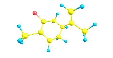 S-Carvone molecular structure isolated on white Stock Illustration