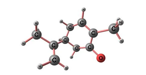S-Carvone molecular structure isolated on white Stock Illustration