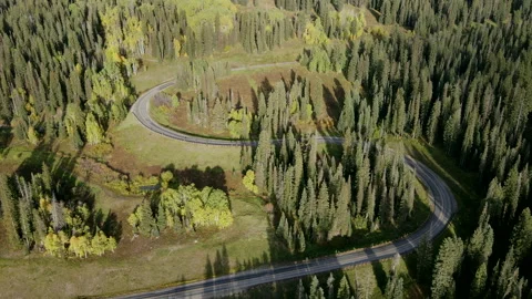 S curve road winding through green pine and aspen forest in Colorado, USA. Stock-Footage 314764430