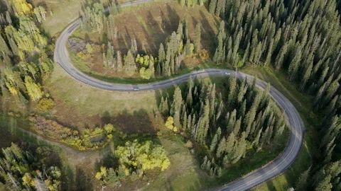 S curve road winding through green pine and aspen forest in Colorado, USA. 스톡 동영상 314764963