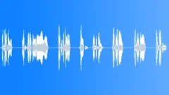 That's entertainingSound Effect