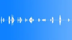 That's GoodSound Effect