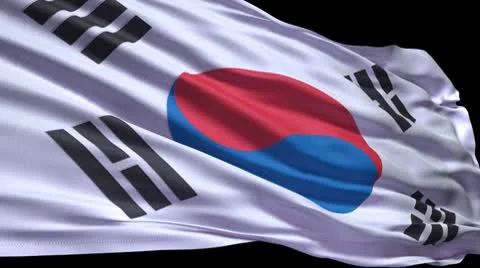 S Korea flag ripple Video stock 8849408