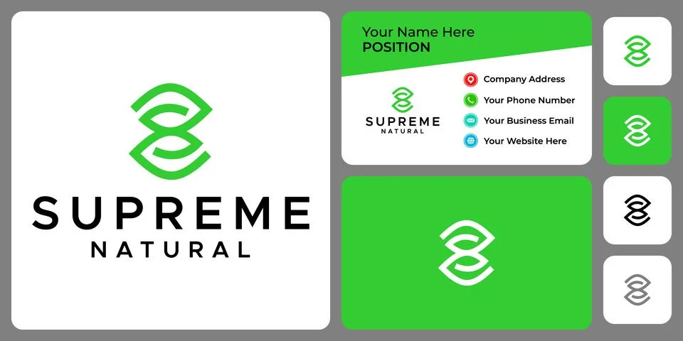 S LEAF LOGO Illustrazione stock