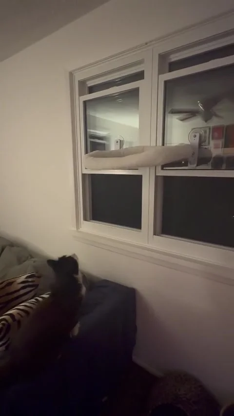 That's One Way to Close a Window, Markham, Ontario, Canada - 03 Oct 2025 Stock Footage 318932522