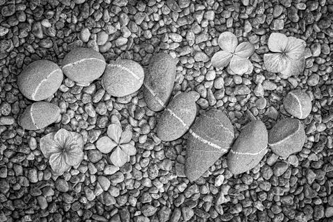 S-shape pattern made with pebbles Foto stock